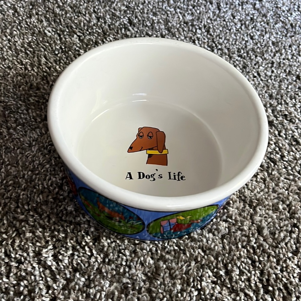 A Dog’s Life glass dog bowl Ursula Dodge for Signature